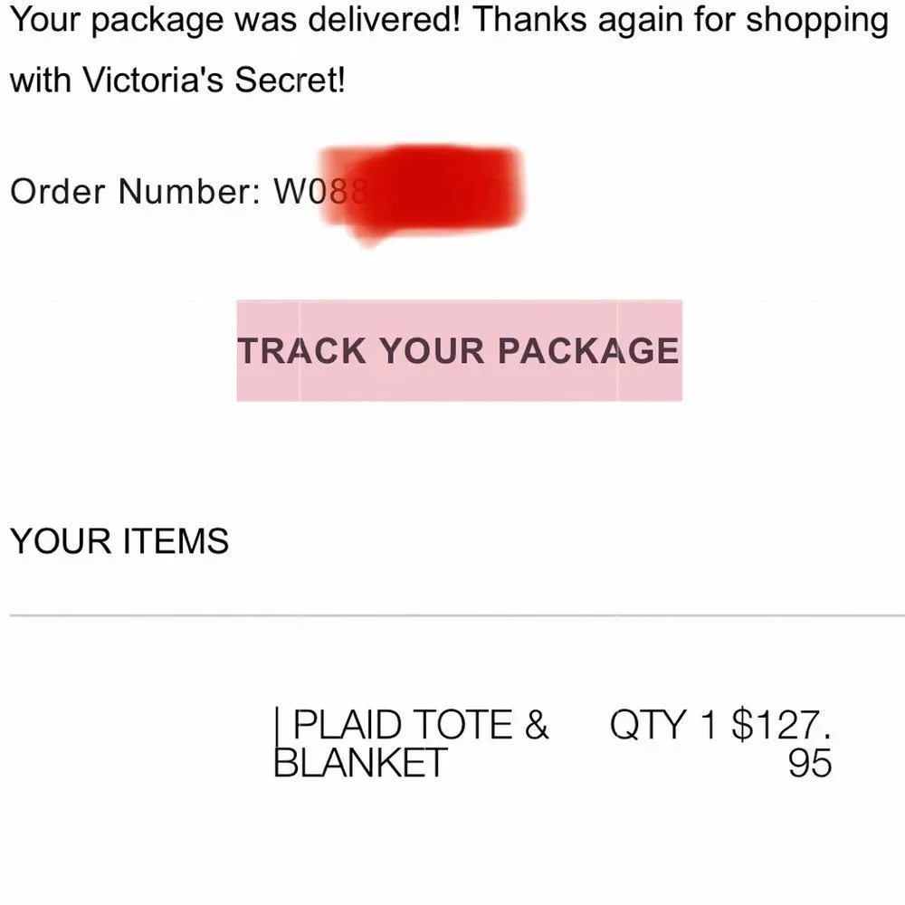 PINK Victoria’s Secret tote and blanket